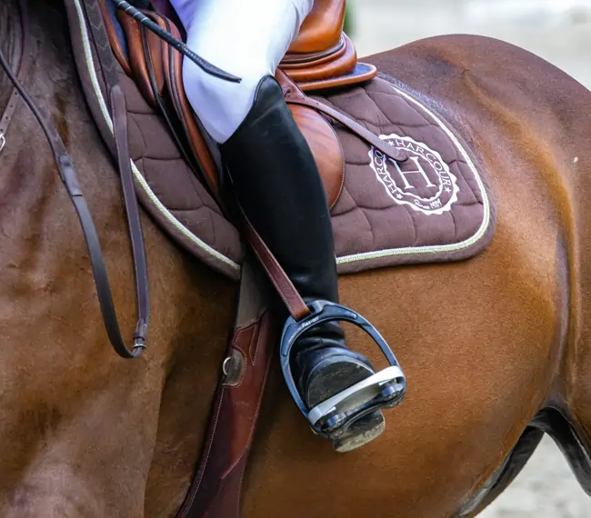 Reiten im Rottal-Inn